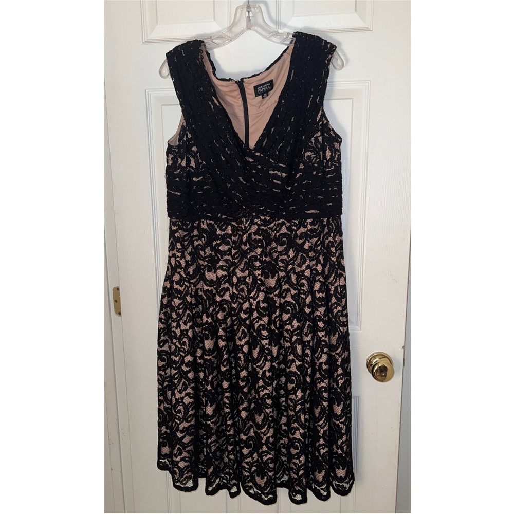Adrianna Papell Black and Tan Dress | Plus Size